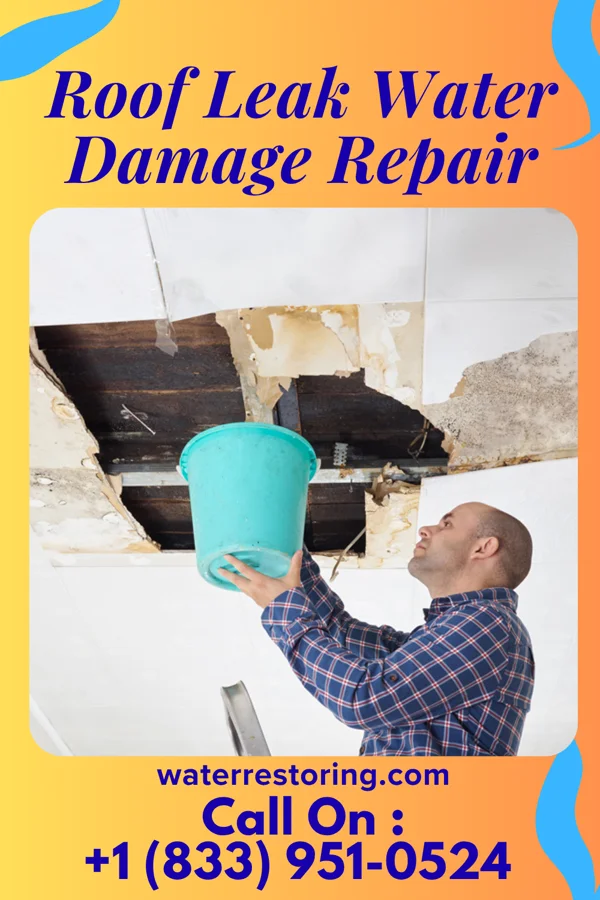 Roof Leak Water Damage Repair in Woodbine, GA