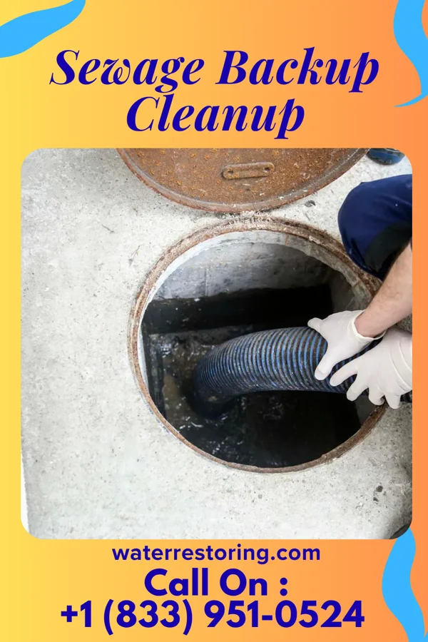 Sewage Backup Cleanup in Woodbine, GA