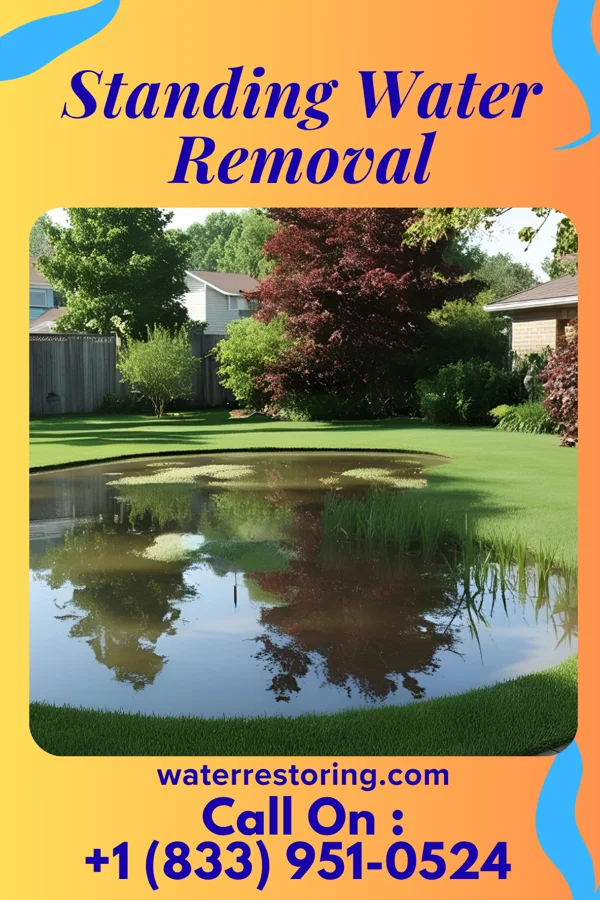 Standing Water Removal in Woodbine, GA